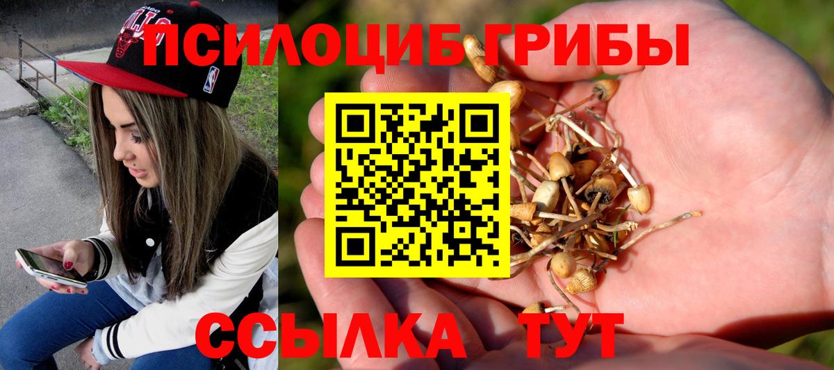 Псилоцибиновые грибы прущие грибы Нижнеудинск