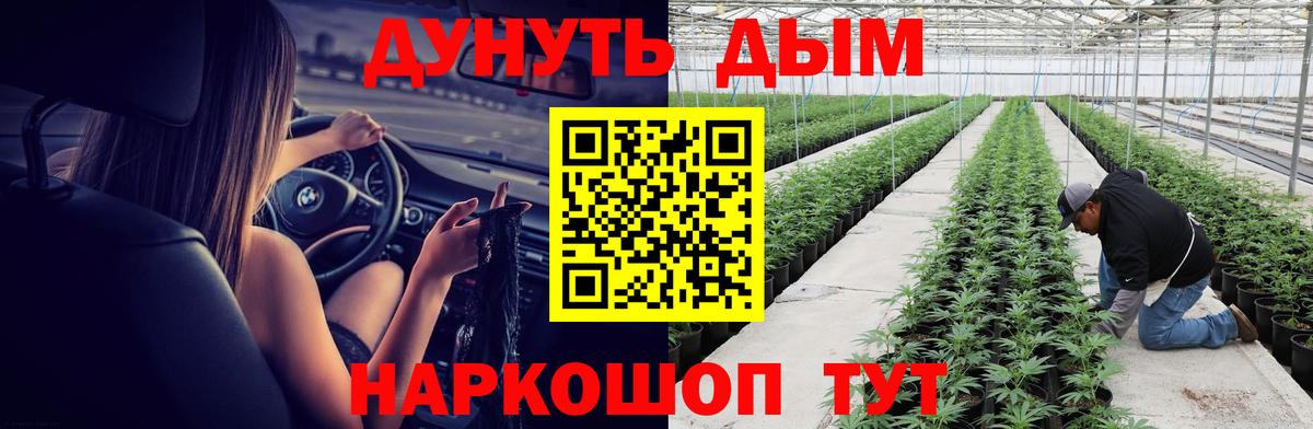 Шишки марихуана Ganja  Бошки марихуана планчик  Вход с VPN  Нижнеудинск 